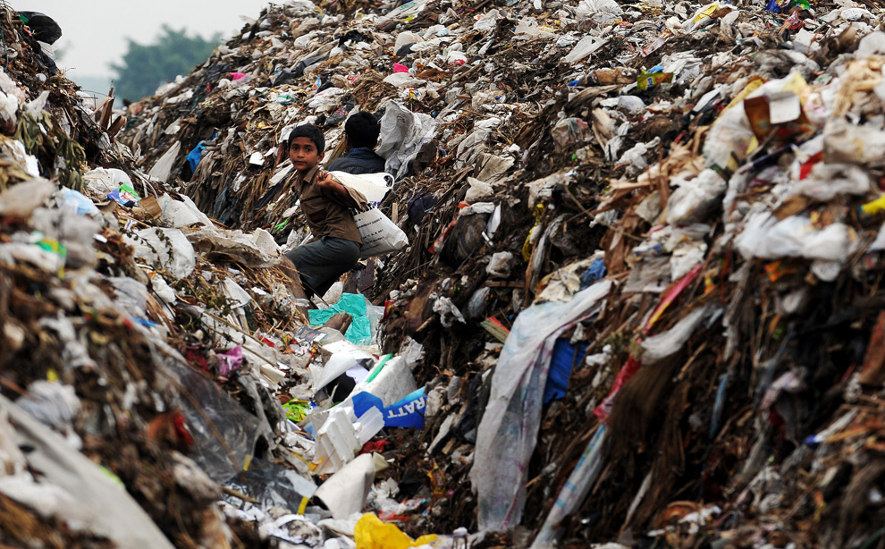 Bangalore Garden or Garbage City?